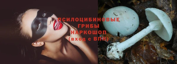ГАЛЛЮЦИНОГЕННЫЕ ГРИБЫ Новокубанск
