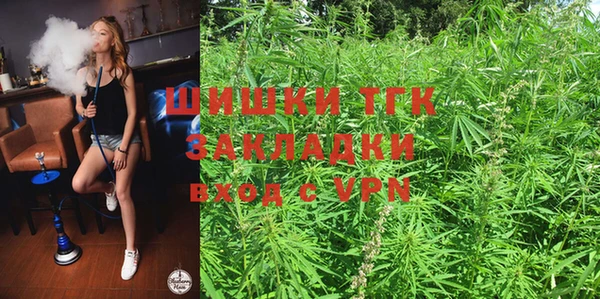 прущие крисы Новозыбков
