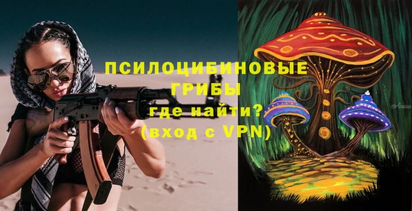 прущие крисы Новозыбков