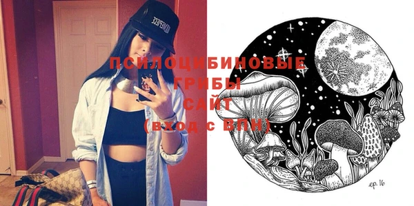 синтетический гашиш Новодвинск