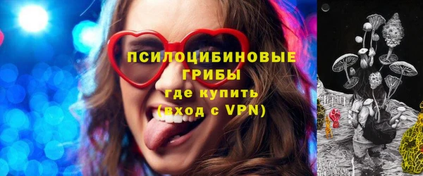 прущие крисы Новозыбков