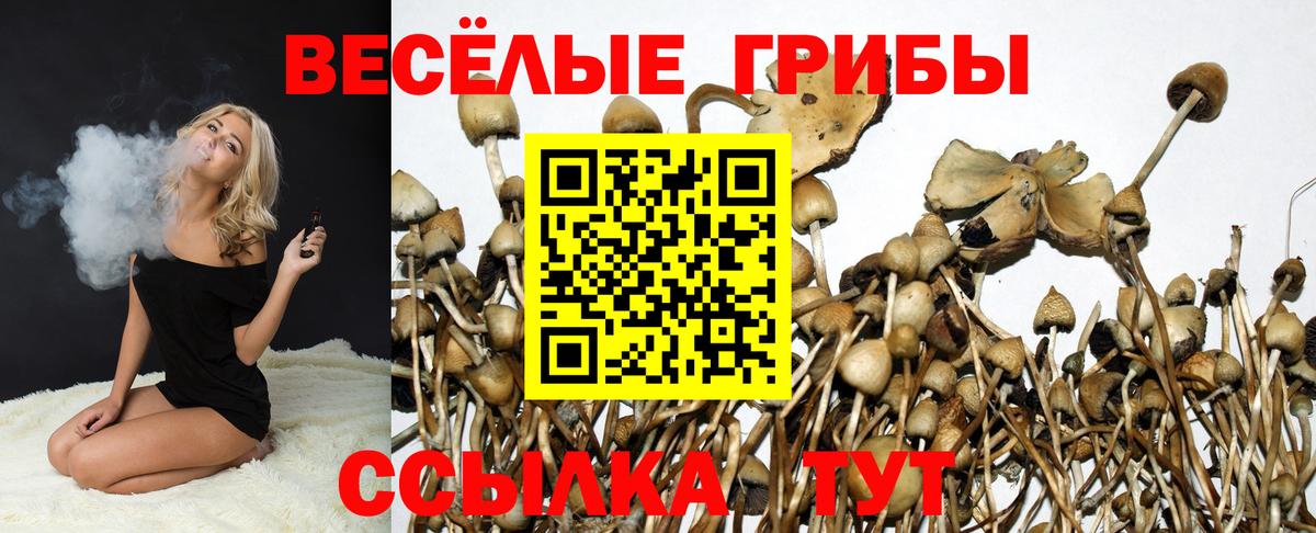 Псилоцибиновые грибы MAGIC MUSHROOMS Стерлитамак