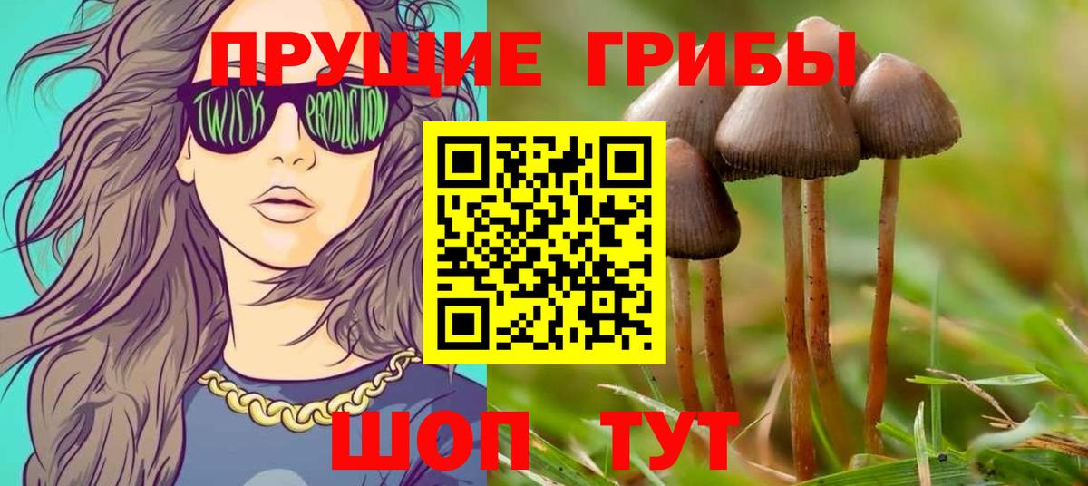Стерлитамак  Псилоцибиновые грибы мицелий  Галлюциногенные грибы Psilocybe  Вход с VPN 